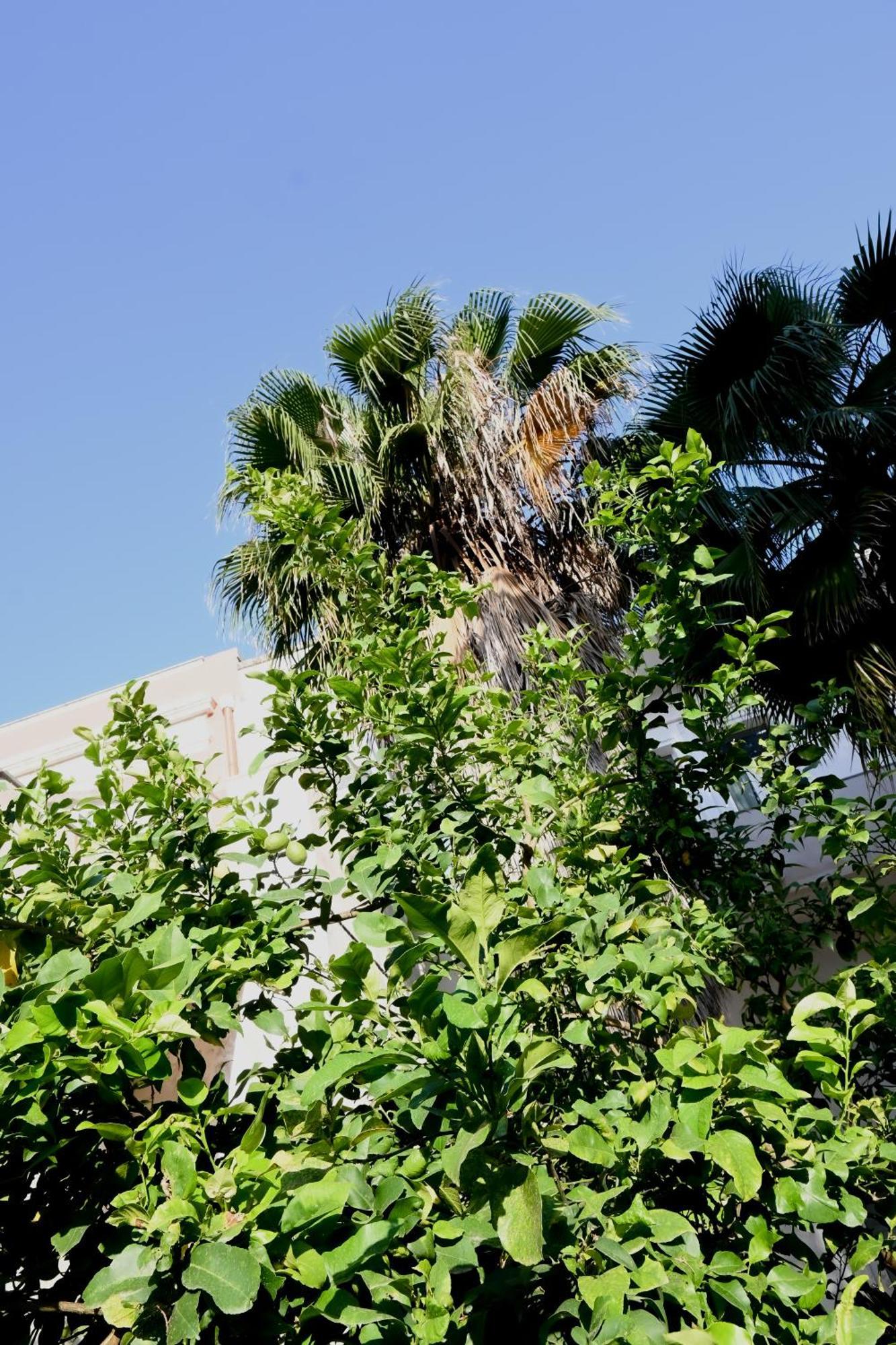 Fatata Suites Lecce Esterno foto